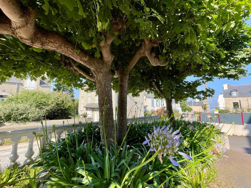 Appartement 6 pers sans vue mer, 100m de la plage 