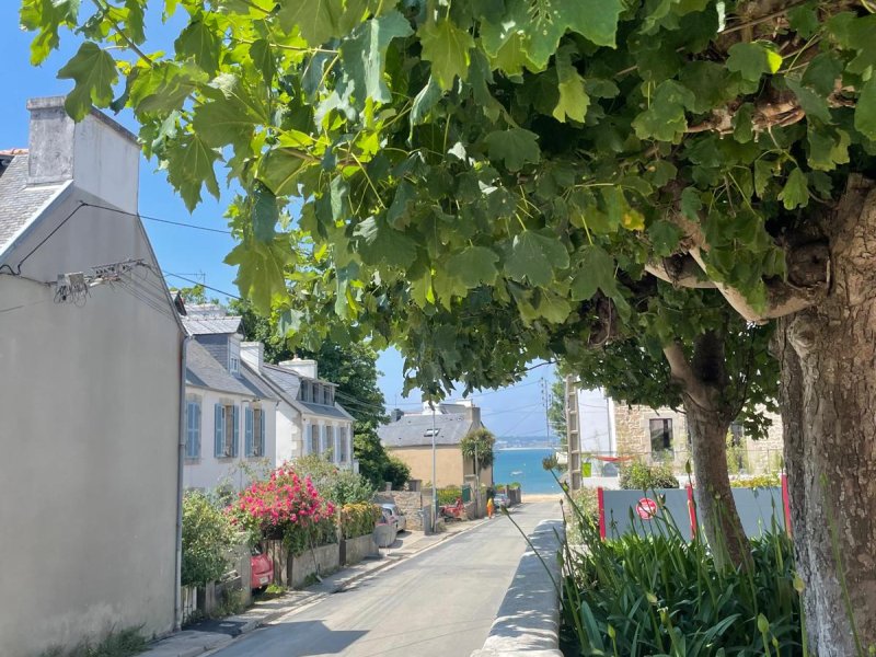 Appartement 4 pers sans vue mer, à 100 m de la plage